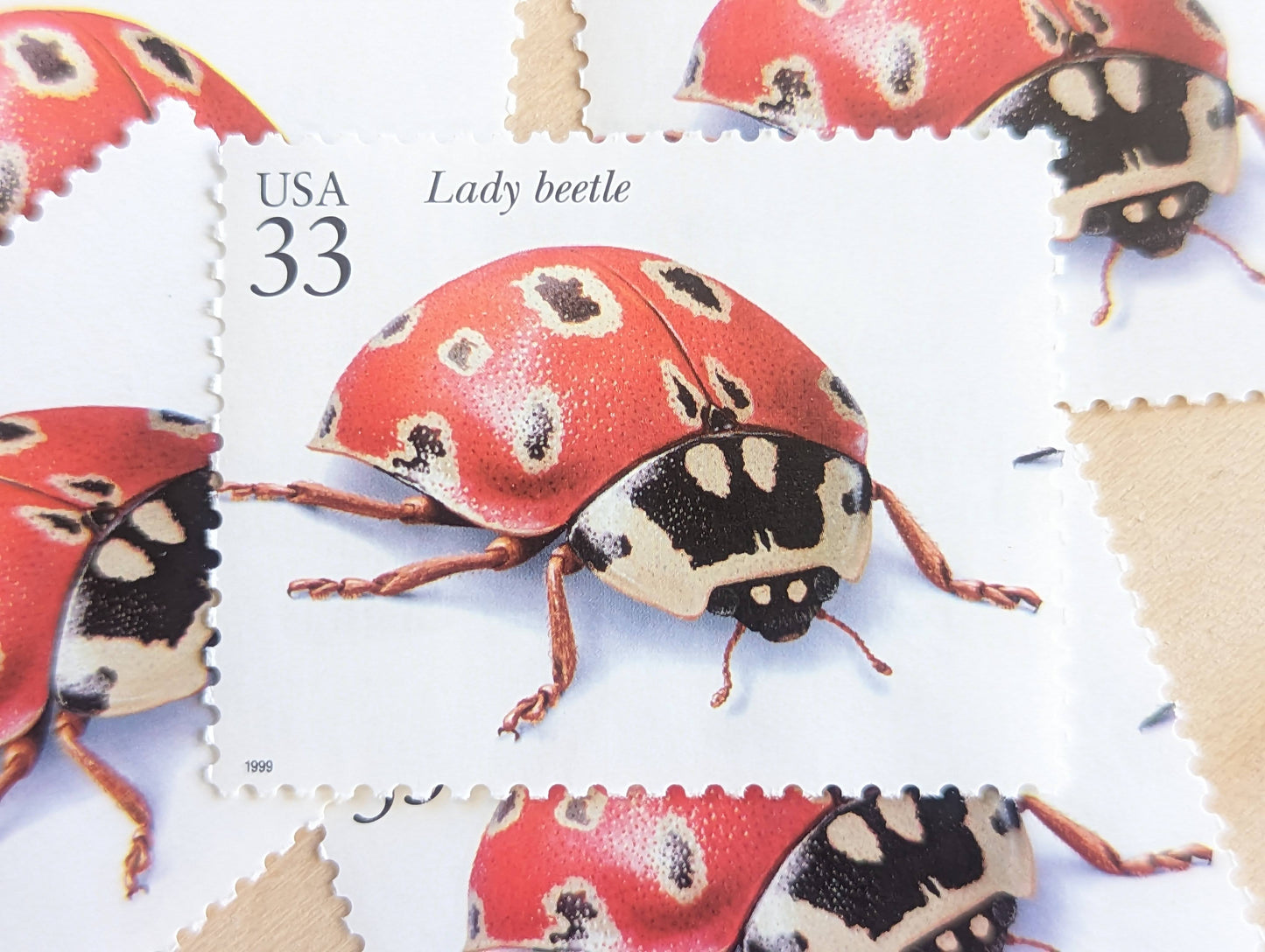 5 Lady Beetle Stamps, 33 Cent, 1999, Unused Postage Stamps, Insects and Spiders, Ladybug