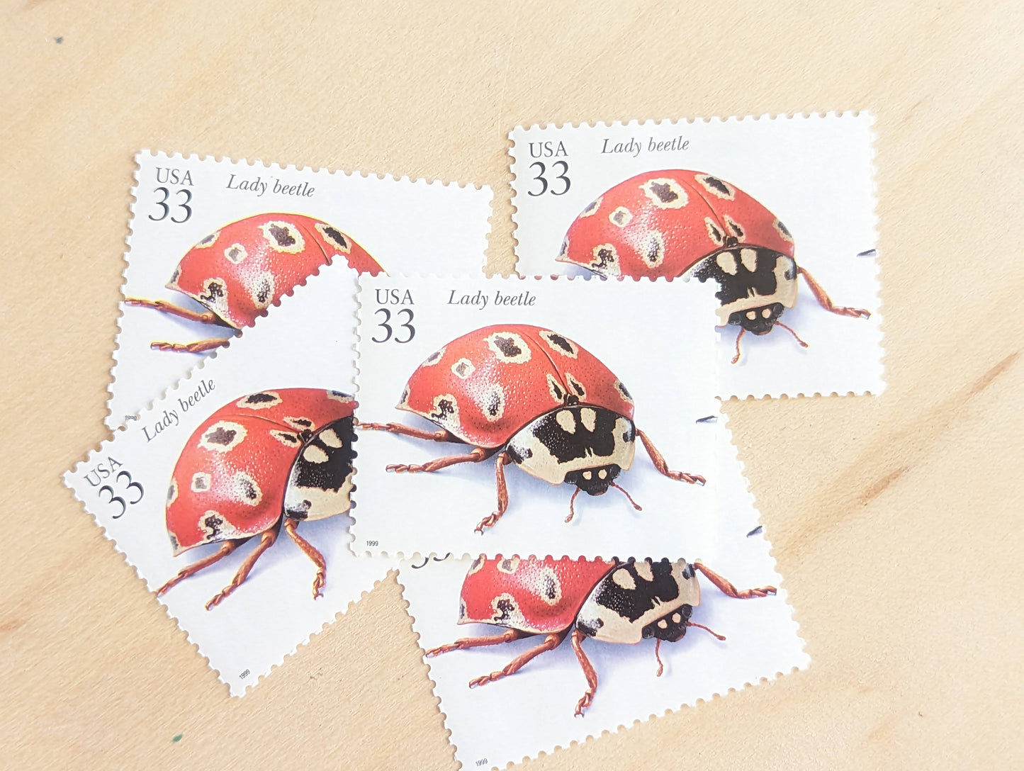 5 Lady Beetle Stamps, 33 Cent, 1999, Unused Postage Stamps, Insects and Spiders, Ladybug