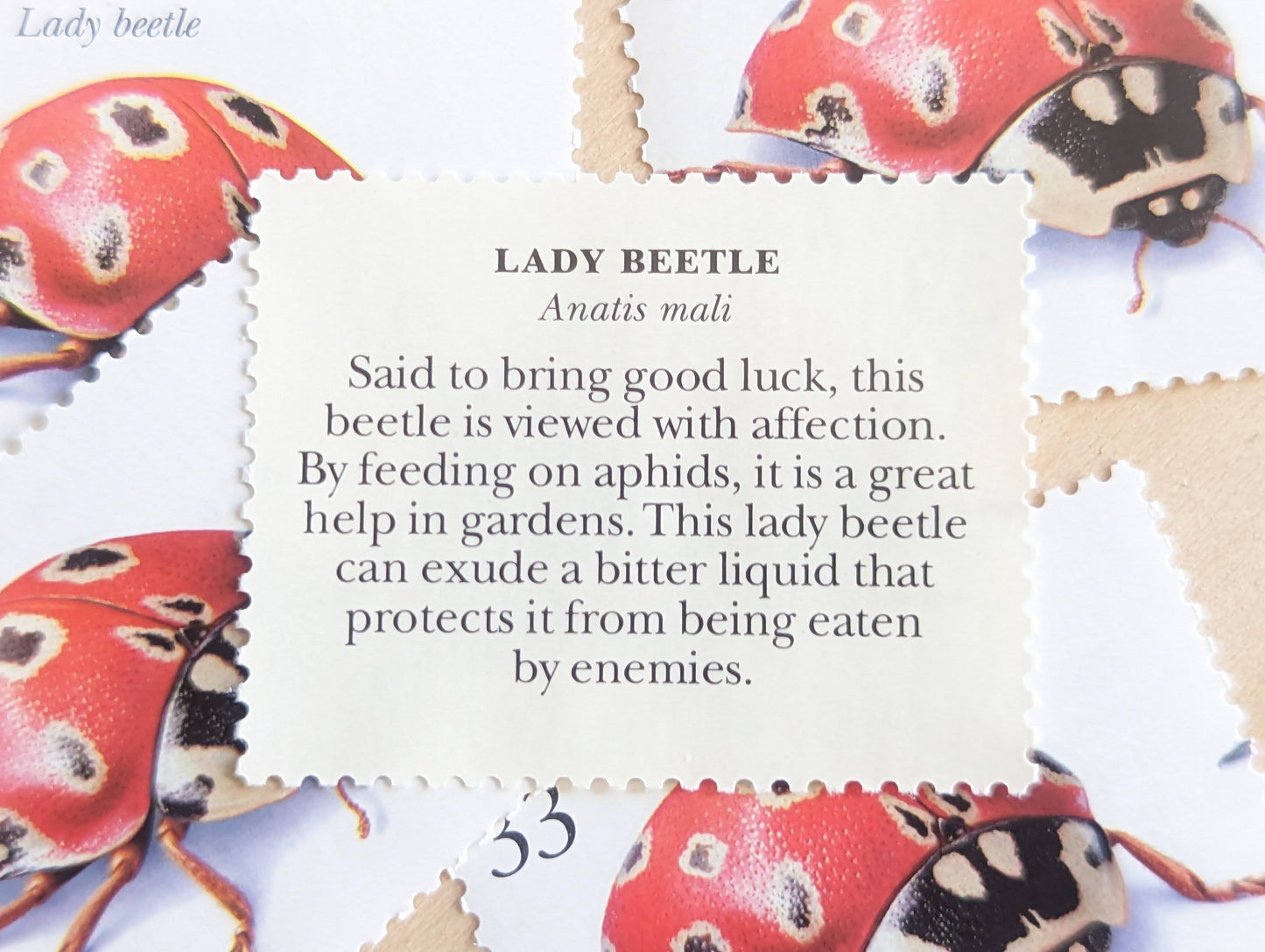 5 Lady Beetle Stamps, 33 Cent, 1999, Unused Postage Stamps, Insects and Spiders, Ladybug