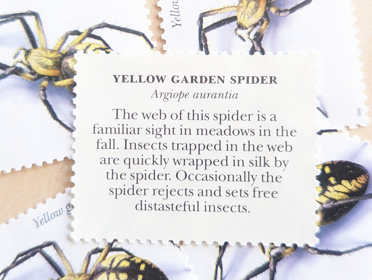 5 Yellow Garden Spider Stamps, 33 Cent, 1999, Unused Postage Stamps, Insects and Spiders