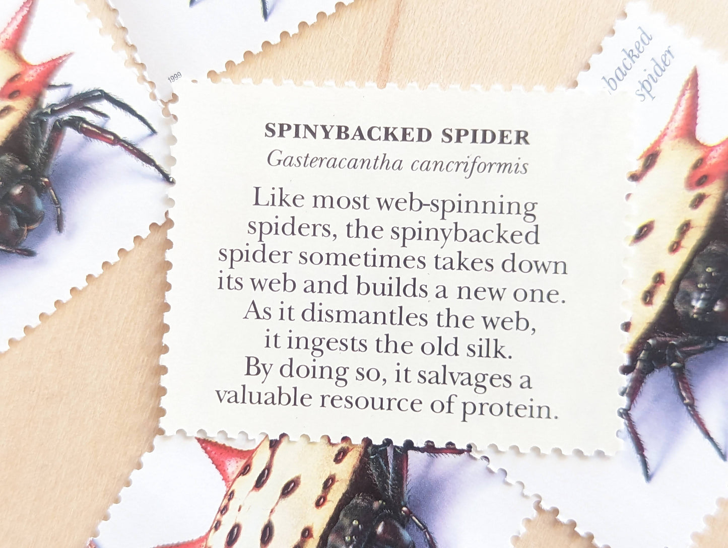 5 Spinybacked Spider Stamps, 33 Cent, 1999, Unused Postage Stamps, Insects and Spiders