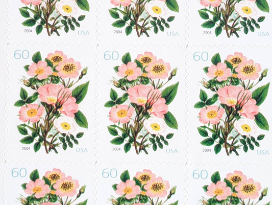 Garden Botanical, Vintage Unused USPS 60 Cent Postage Stamps, Garden Botanical Stamps (Pink Wild Rose), 2003, Gummed