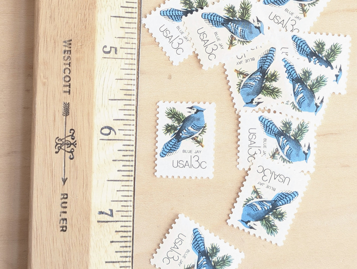 Set of 10 Blue Jay Stamps, 13 Cent, 1978 Unused Postage Stamps