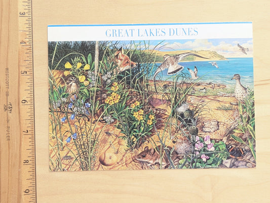 Great Lakes Dunes Postcard and Make Up Postage 5x7 Inch Postcard, Dated 2008