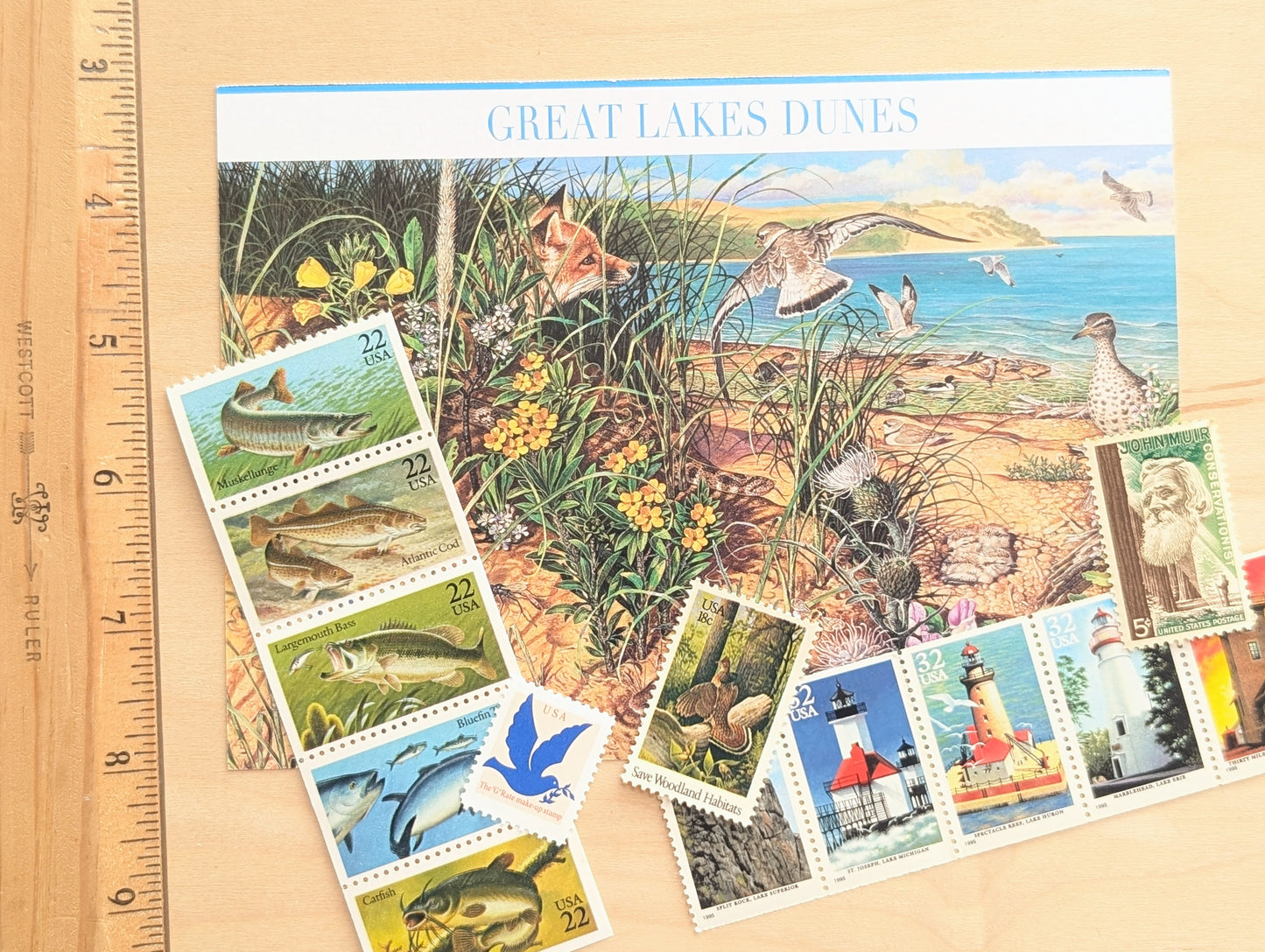 Great Lakes Dunes Postcard and Make Up Postage 5x7 Inch Postcard, Dated 2008