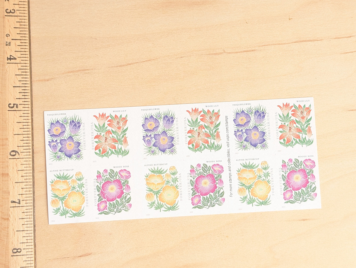 Booklet of Mountain Flora, 20 Forever Stamps, 2021 Unused USPS Postage Stamps