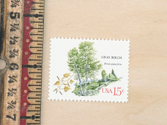 Gray Birch, Set of 10, Vintage Unused USPS 15 Cent Postage Stamps, American Trees Stamps, 1978, Gummed