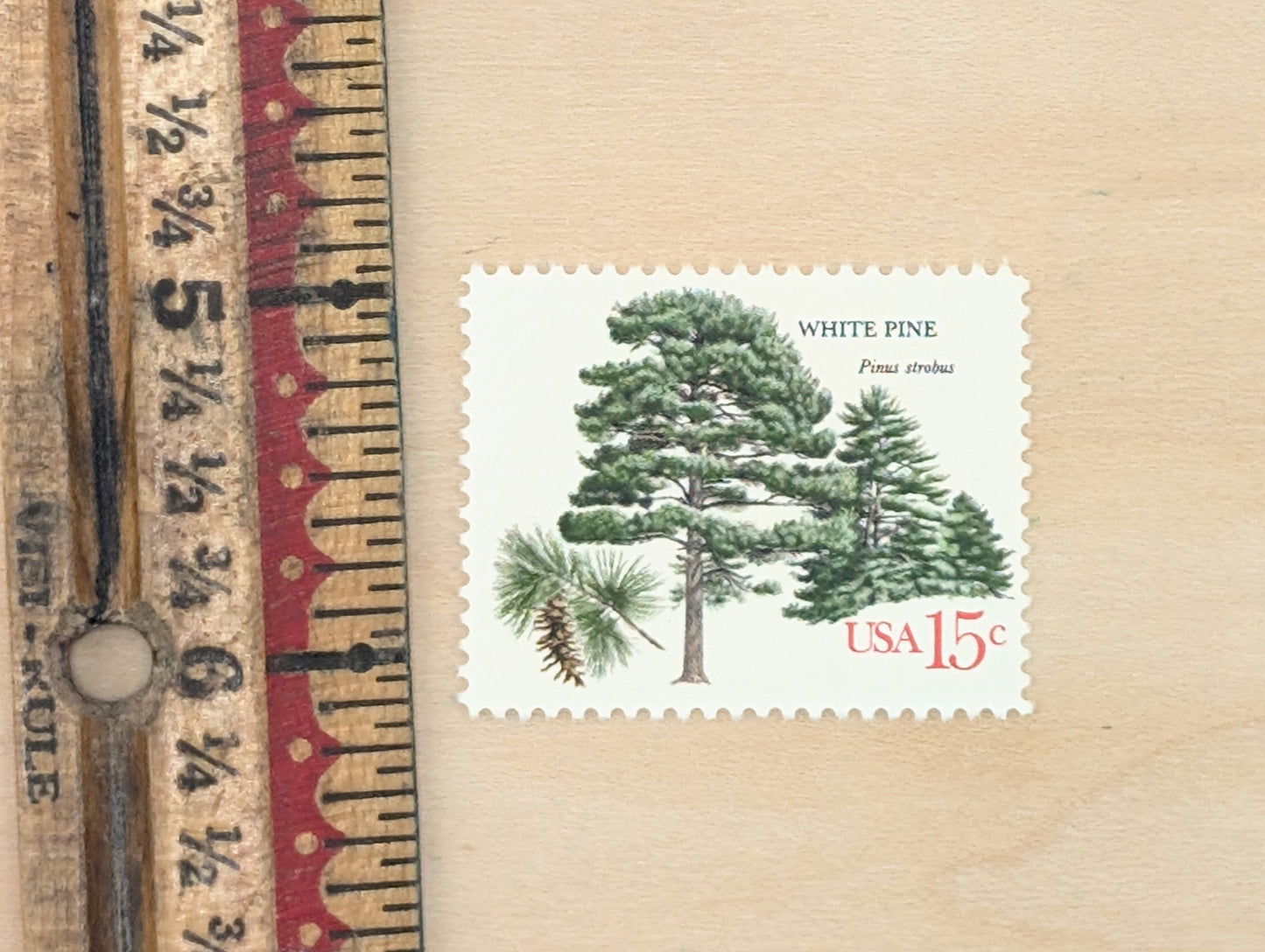 White Pine, Set of 10, Vintage Unused USPS 15 Cent Postage Stamps, American Trees Stamps, 1978, Gummed