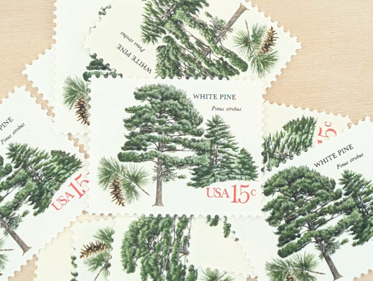 White Pine, Set of 10, Vintage Unused USPS 15 Cent Postage Stamps, American Trees Stamps, 1978, Gummed