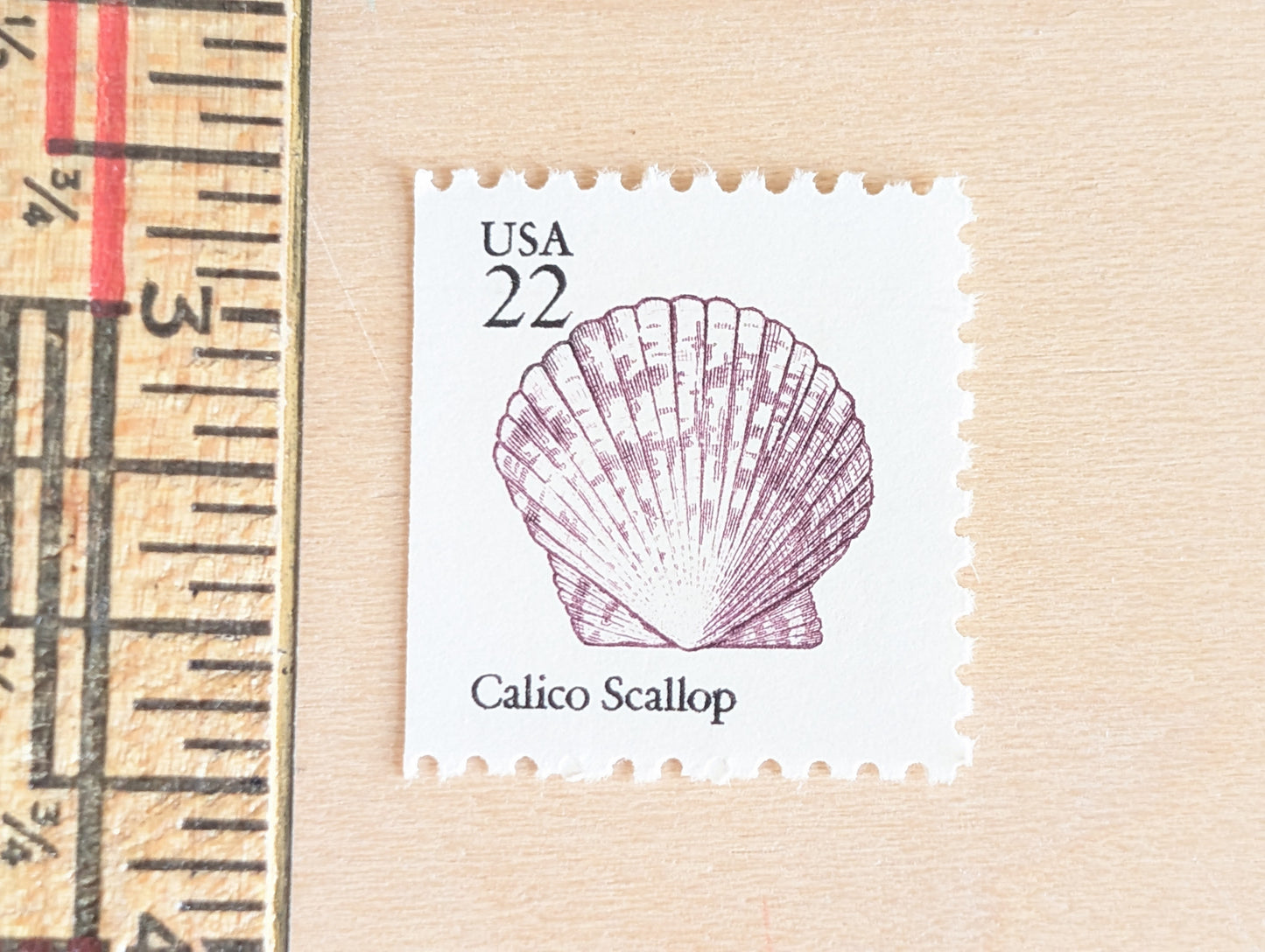 Seashells, Vintage Unused USPS 22 Cent Postage Stamps, Beach Wedding, 1985, Gummed
