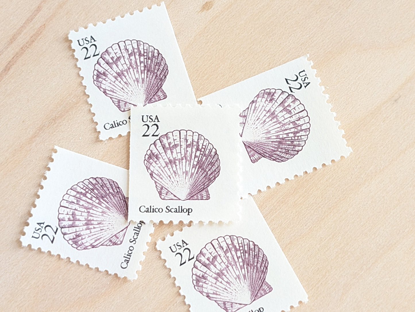 Seashells, Vintage Unused USPS 22 Cent Postage Stamps, Beach Wedding, 1985, Gummed
