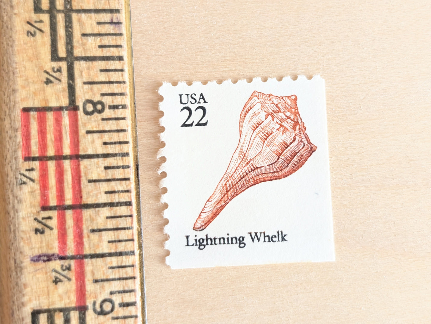 Seashells, Vintage Unused USPS 22 Cent Postage Stamps, Beach Wedding, 1985, Gummed