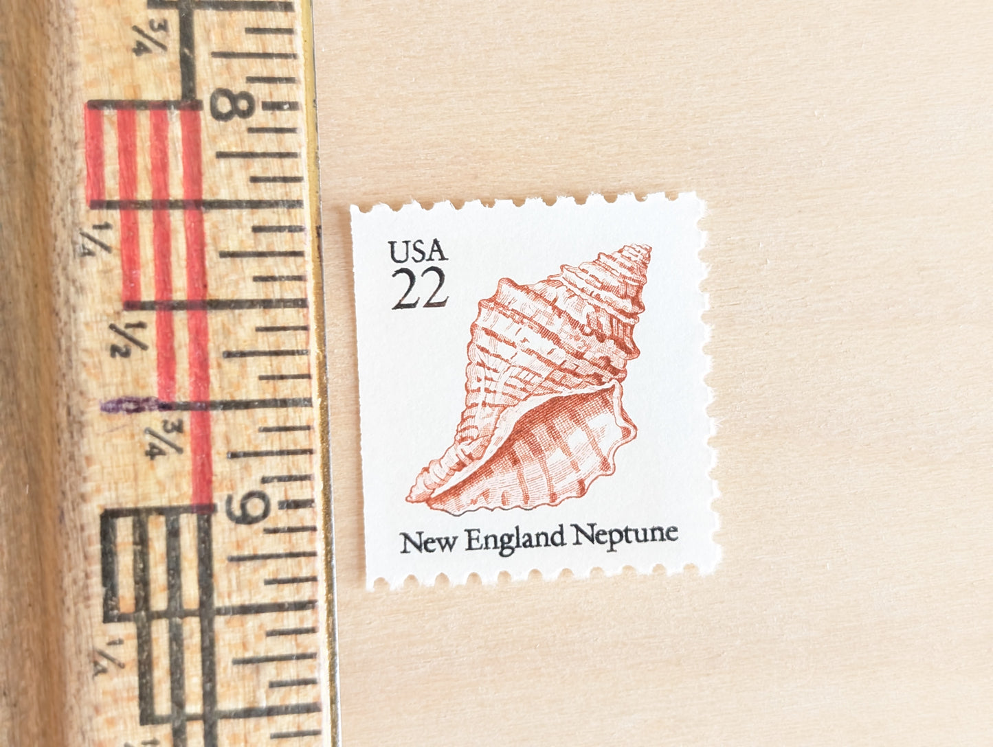 Seashells, Vintage Unused USPS 22 Cent Postage Stamps, Beach Wedding, 1985, Gummed