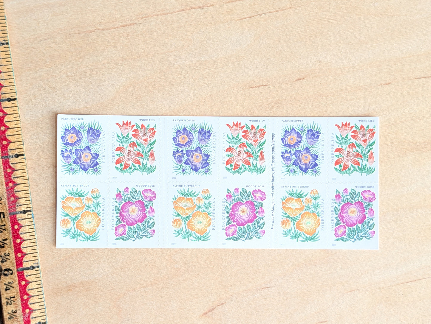 Bookelt of 20 Mountain Flora Stamps, Unused USPS Forever Postage Stamps, 2021 Self-Adhesive