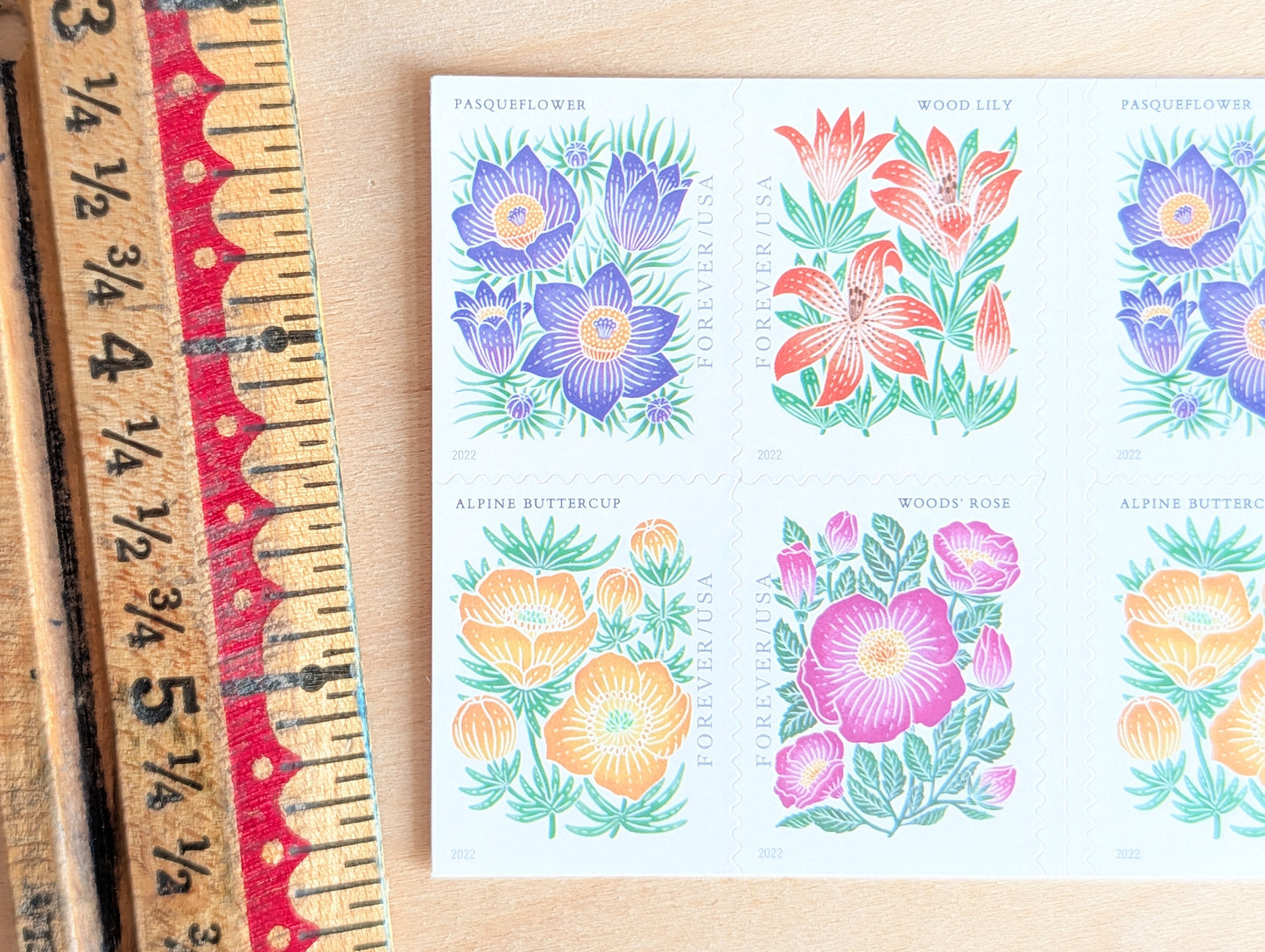 Bookelt of 20 Mountain Flora Stamps, Unused USPS Forever Postage Stamps, 2021 Self-Adhesive