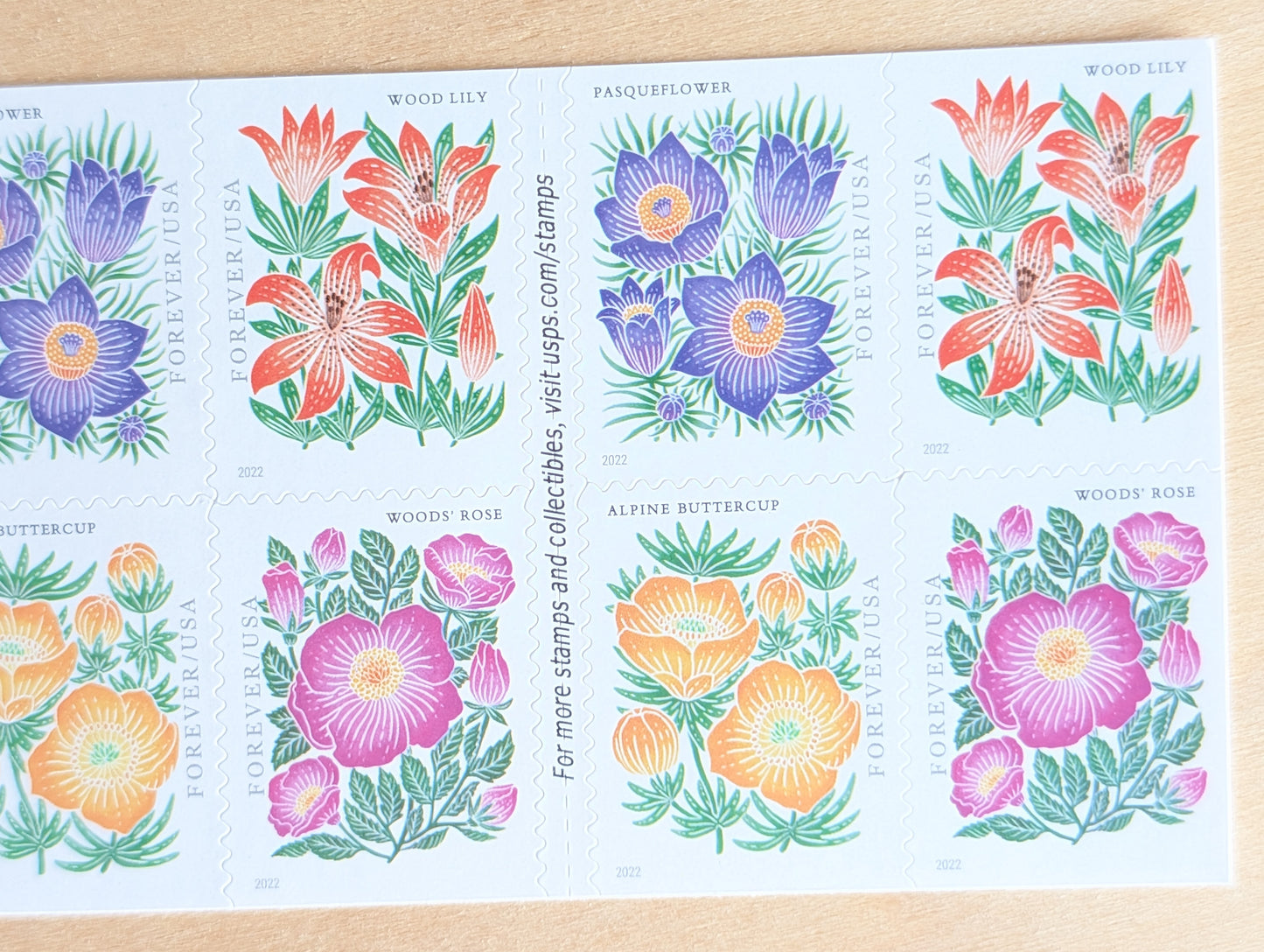 Bookelt of 20 Mountain Flora Stamps, Unused USPS Forever Postage Stamps, 2021 Self-Adhesive