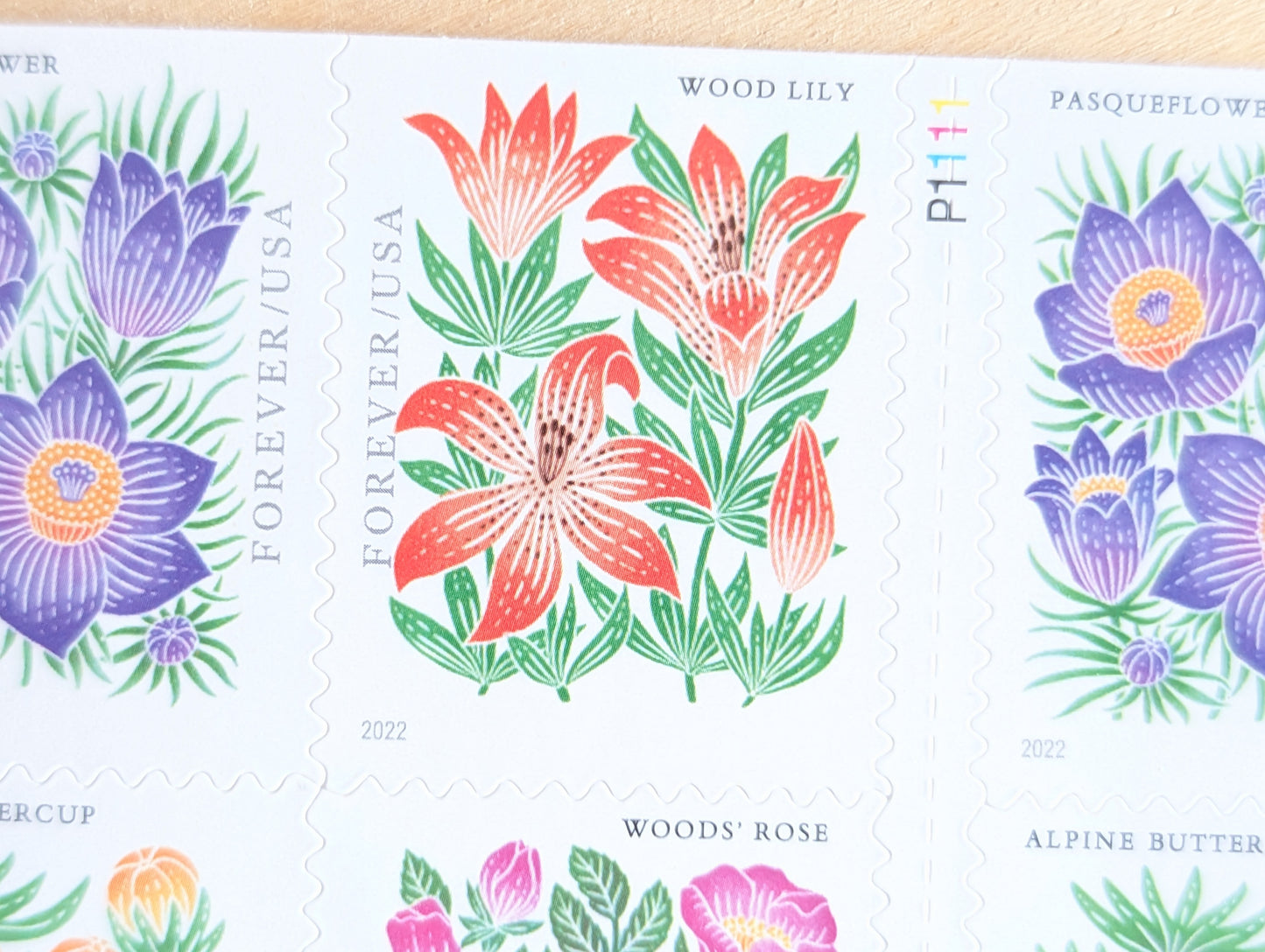Bookelt of 20 Mountain Flora Stamps, Unused USPS Forever Postage Stamps, 2021 Self-Adhesive