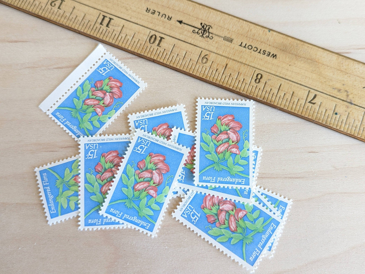 10 Endangered Flora Stamps, 15 Cent 1979 Unused Postage Stamps, Hawaiian Wild Broadbean