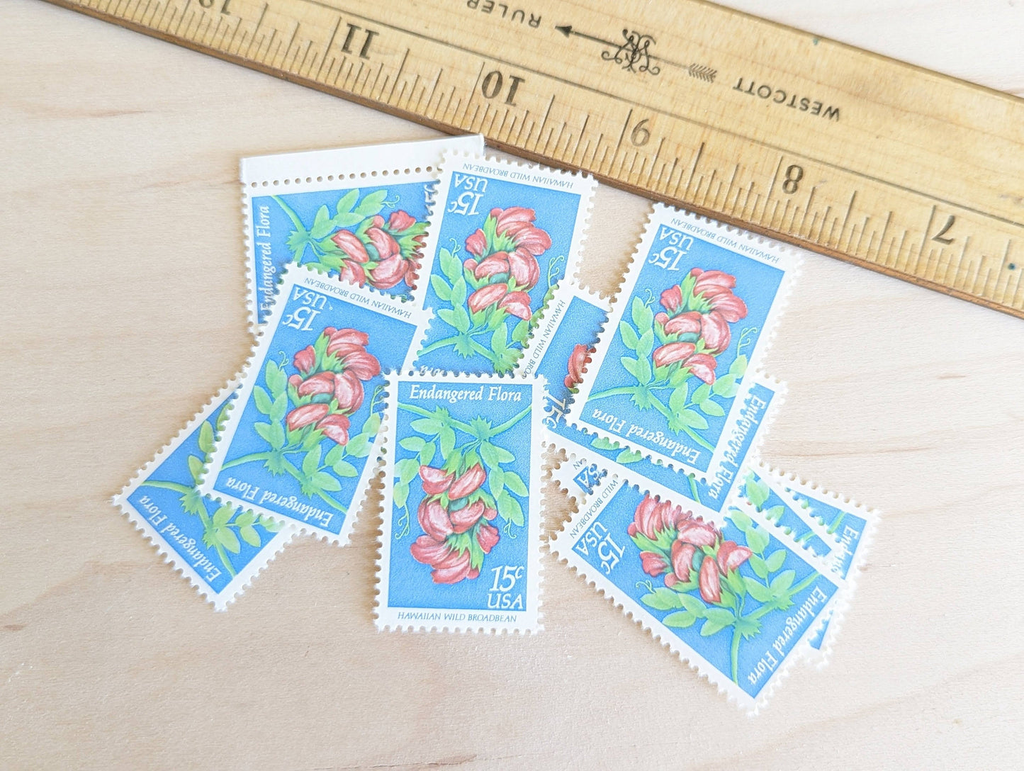 10 Endangered Flora Stamps, 15 Cent 1979 Unused Postage Stamps, Hawaiian Wild Broadbean
