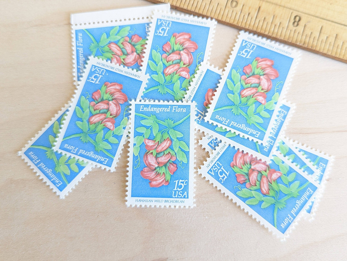10 Endangered Flora Stamps, 15 Cent 1979 Unused Postage Stamps, Hawaiian Wild Broadbean