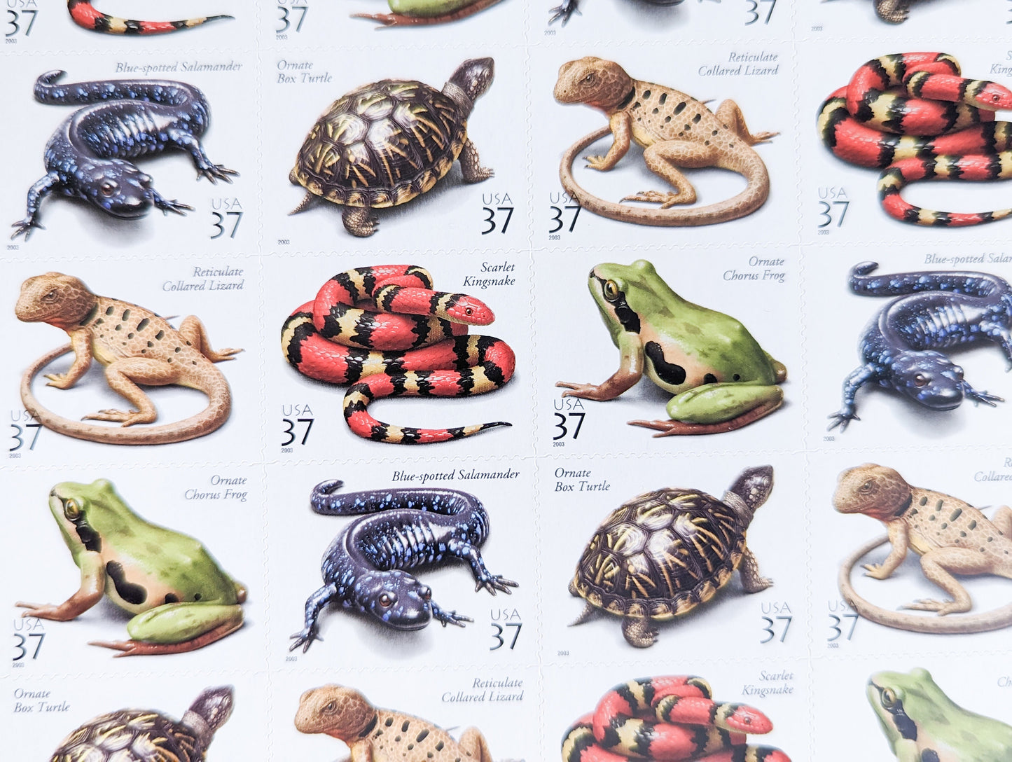Sheet of 20 Reptiles and Amphibians Unused US Stamps, 2002, 37 Cent Stamps, Frog, Lizard, Box Turtle, Scarlet Kingsnake, Salamander