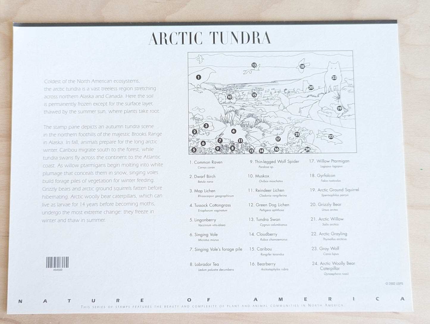 Arctic Tundra Unused Postage Stamp Sheet, 2002, Ten 37 Cent Stamps