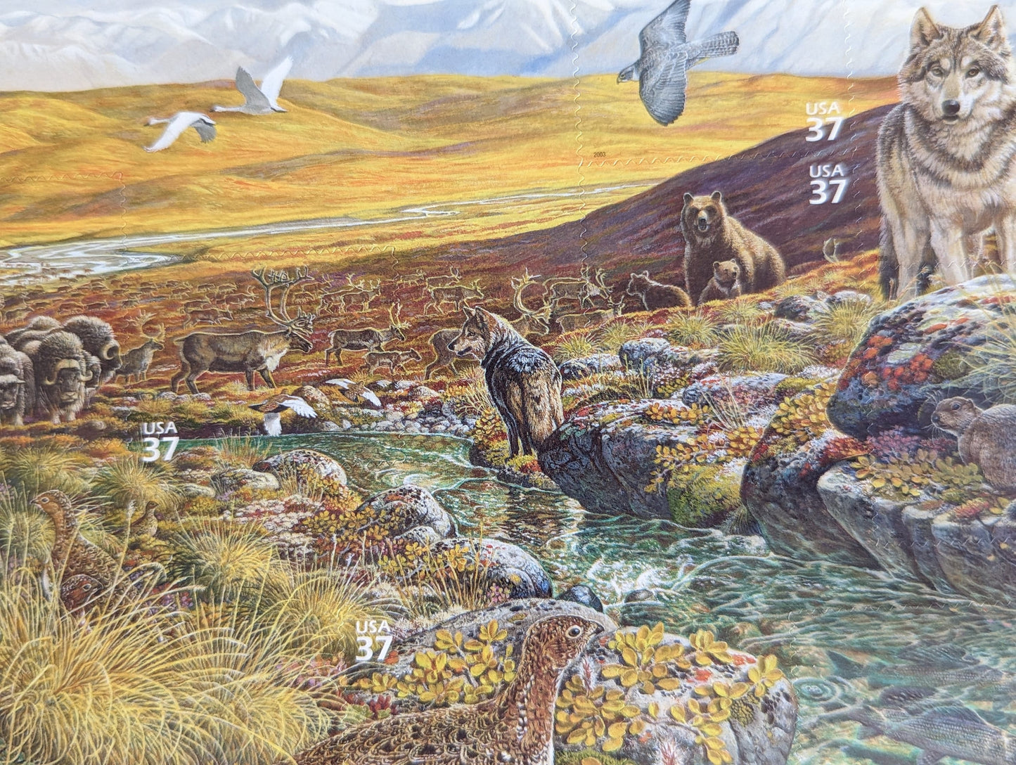 Arctic Tundra Unused Postage Stamp Sheet, 2002, Ten 37 Cent Stamps