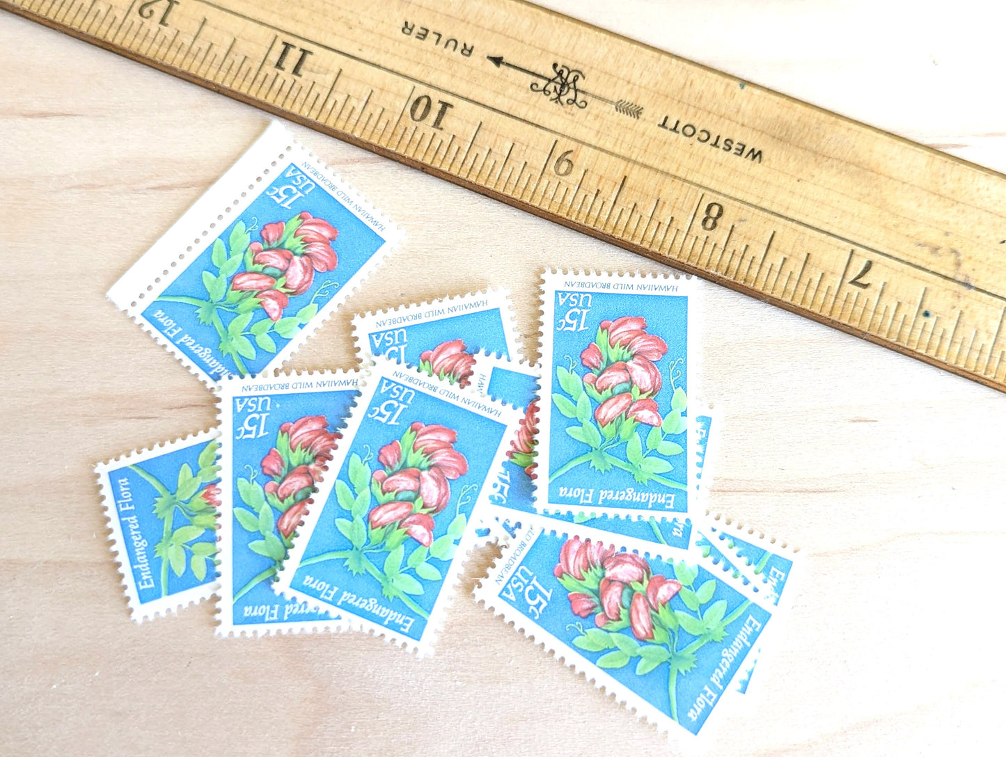10 Endangered Flora Stamps, 15 Cent 1979 Unused Postage Stamps, Hawaiian Wild Broadbean