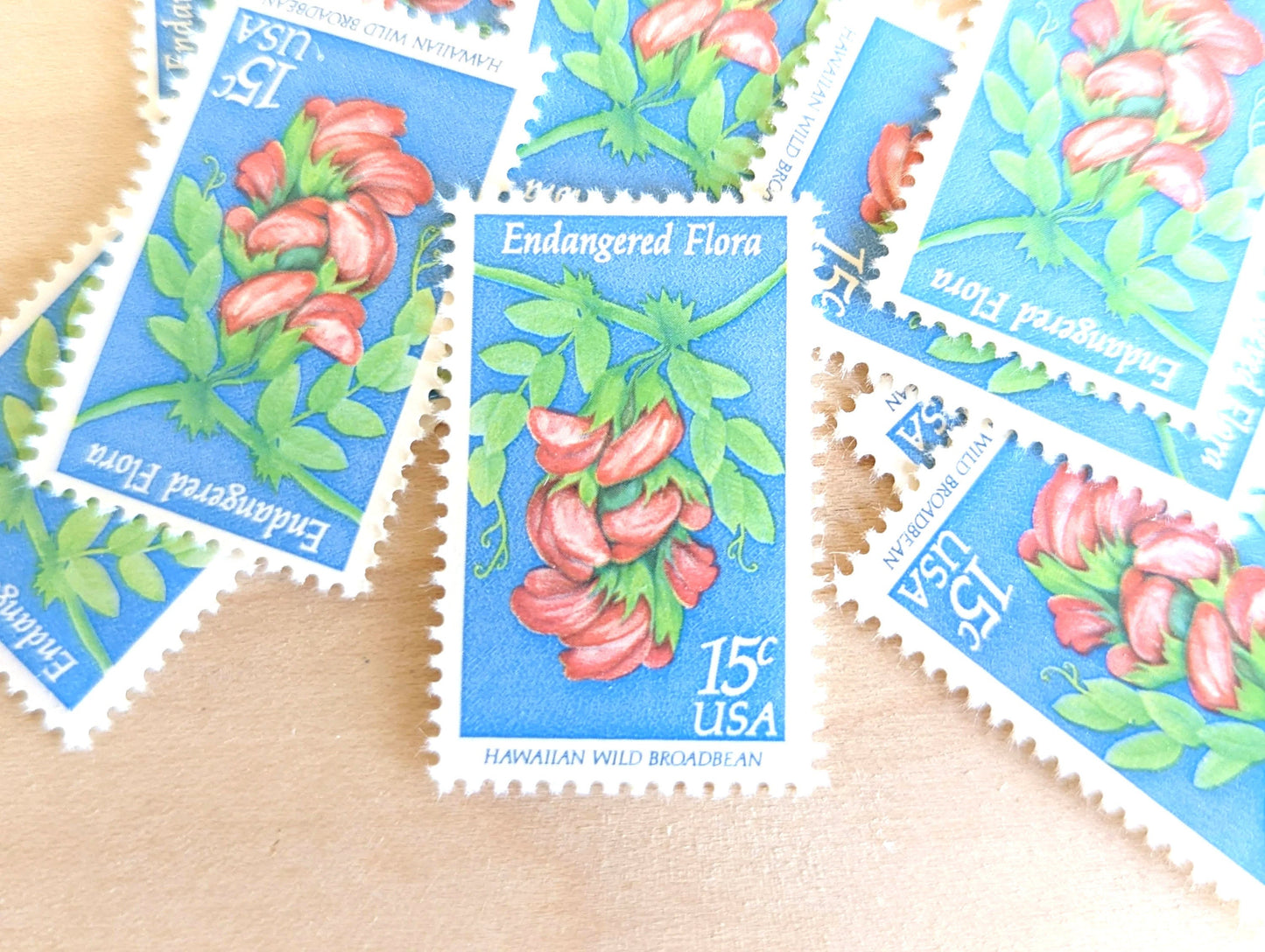 10 Endangered Flora Stamps, 15 Cent 1979 Unused Postage Stamps, Hawaiian Wild Broadbean