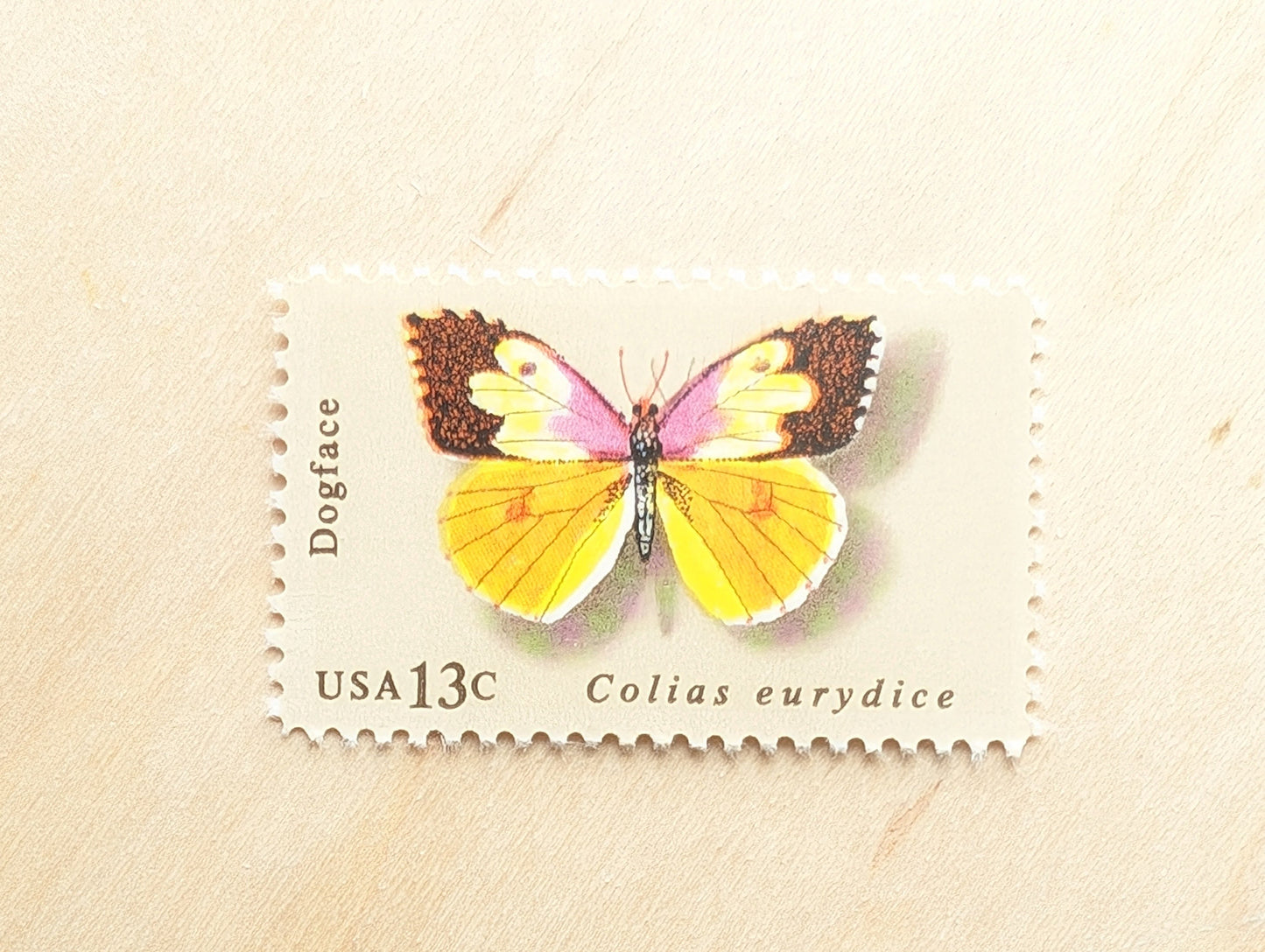 10 Dogface Butterfly Stamps, 1977 Unused Postage Stamps, 13 Cent Stamps