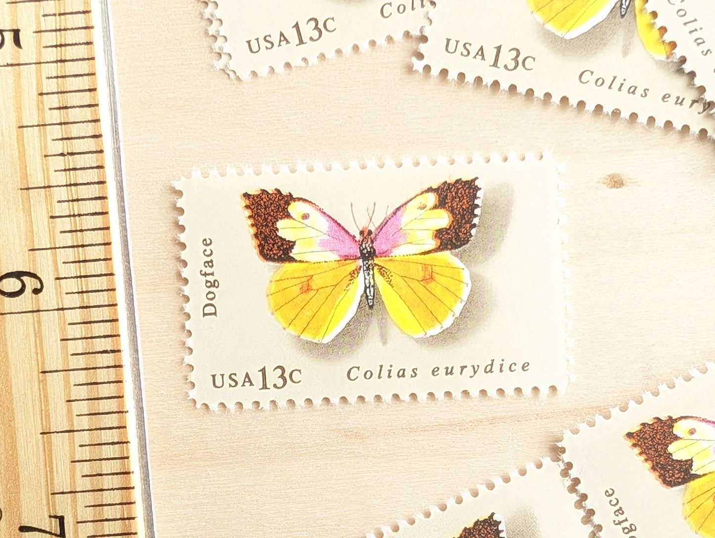 10 Dogface Butterfly Stamps, 1977 Unused Postage Stamps, 13 Cent Stamps
