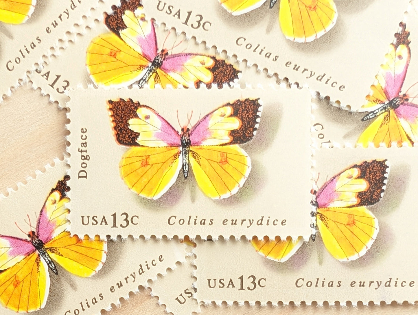 10 Dogface Butterfly Stamps, 1977 Unused Postage Stamps, 13 Cent Stamps