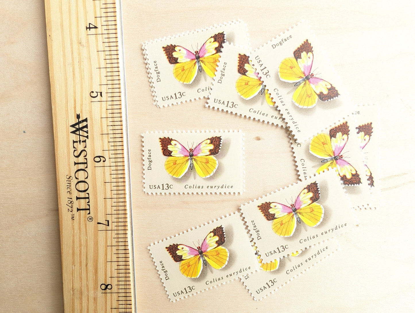 10 Dogface Butterfly Stamps, 1977 Unused Postage Stamps, 13 Cent Stamps