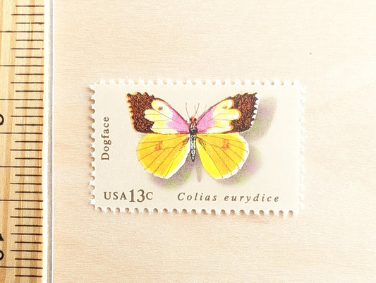 10 Dogface Butterfly Stamps, 1977 Unused Postage Stamps, 13 Cent Stamps