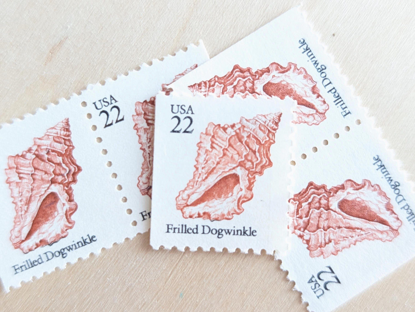 Seashells, Vintage Unused USPS 22 Cent Postage Stamps, Beach Wedding, 1985, Gummed