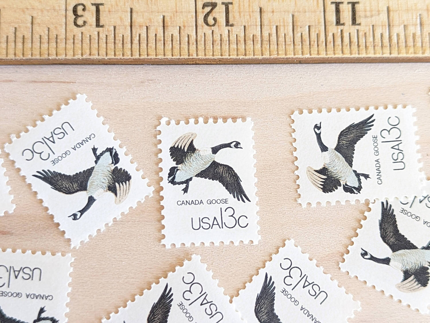 Set of 10 Canada Goose Stamps, 13 Cent  1978 Unused Postage Stamps