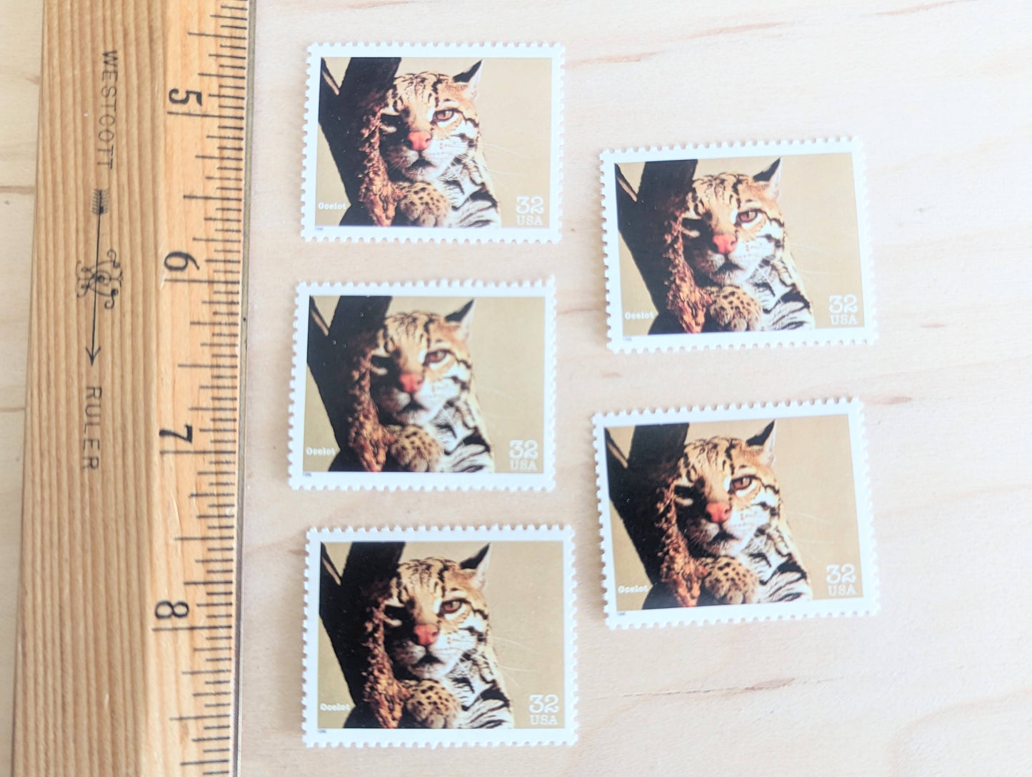 5 Ocelot Stamps, 32 Cent Unused Postage Stamps, Endangered Species 1995