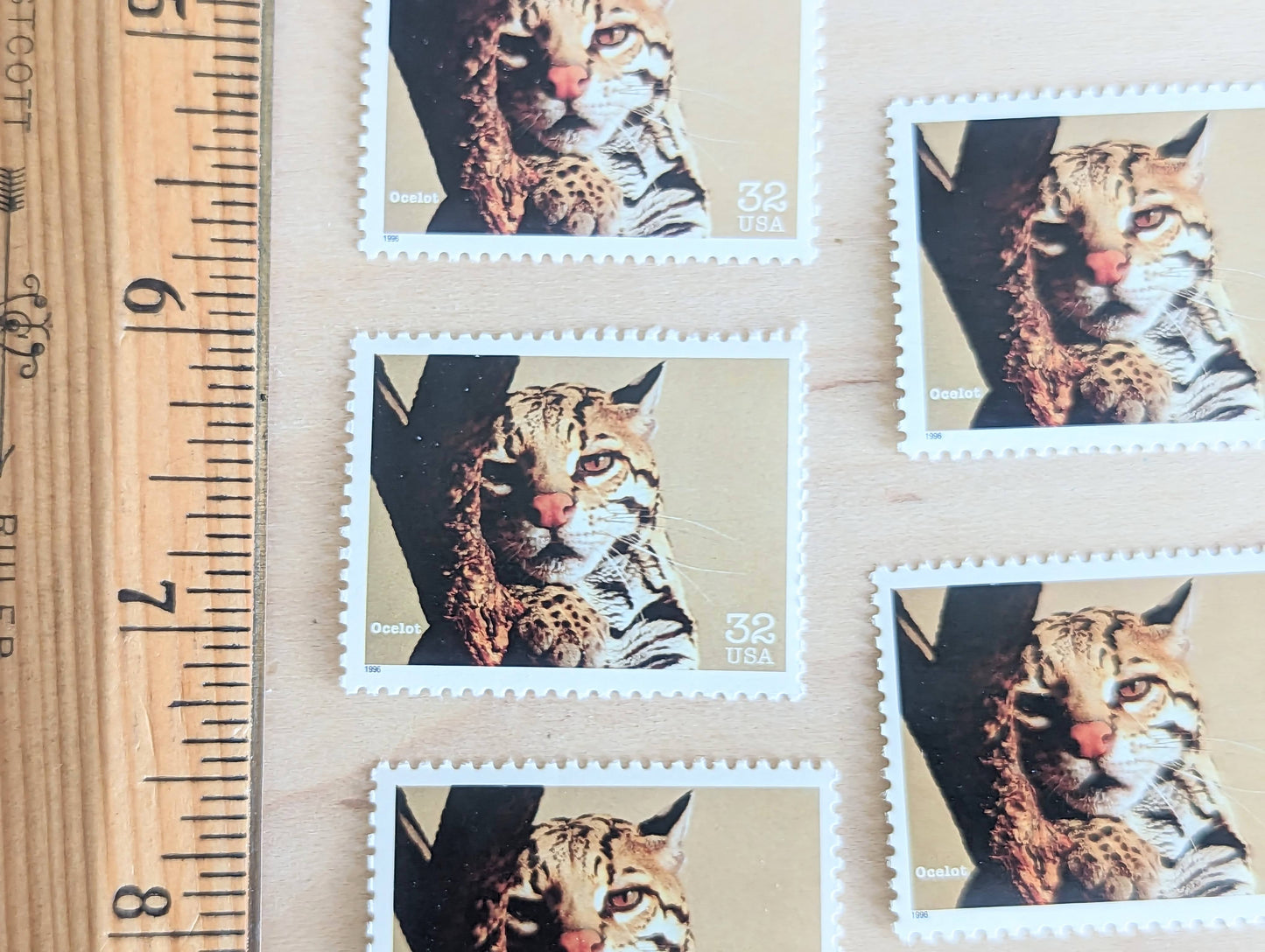 5 Ocelot Stamps, 32 Cent Unused Postage Stamps, Endangered Species 1995