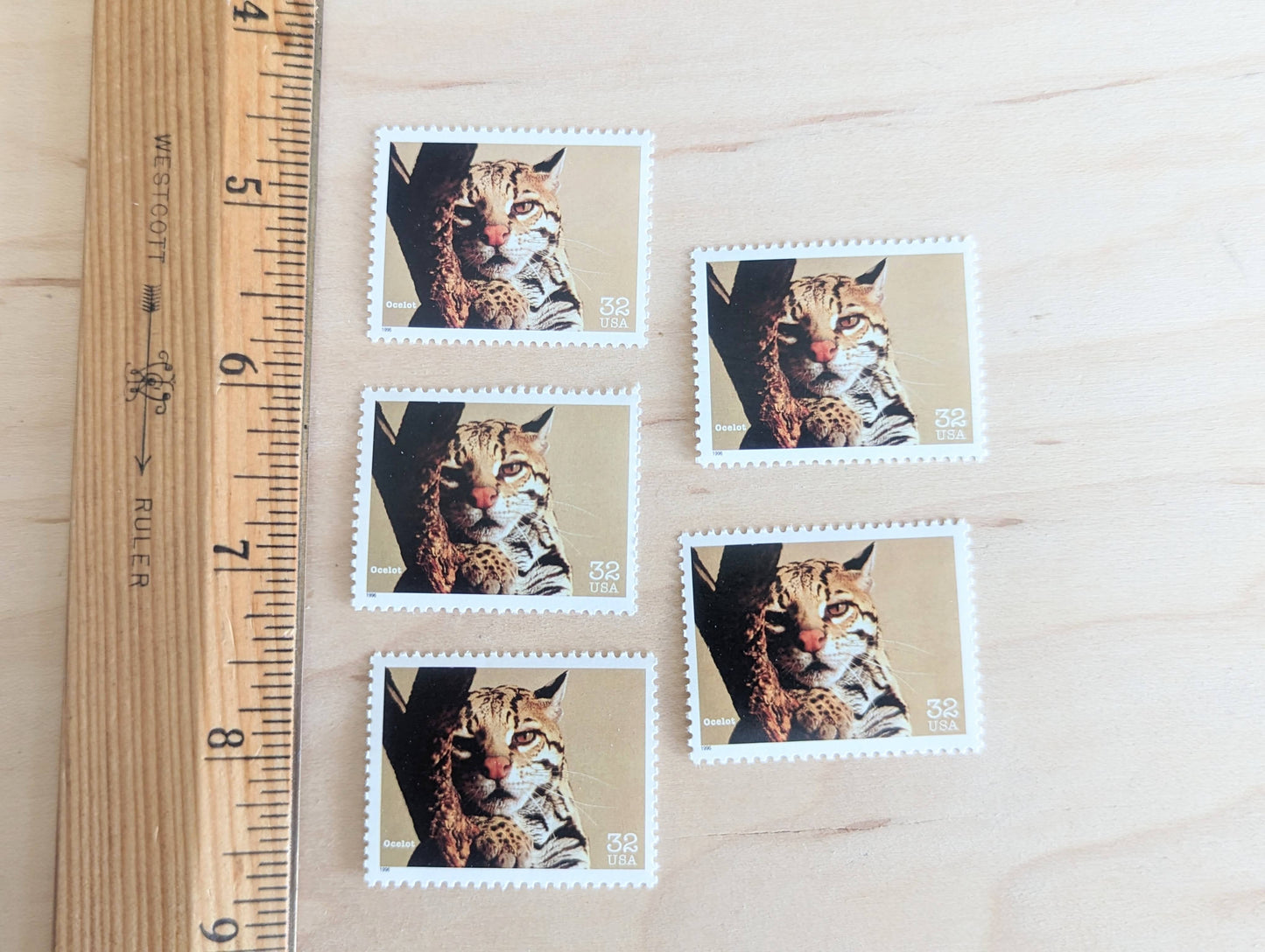 5 Ocelot Stamps, 32 Cent Unused Postage Stamps, Endangered Species 1995