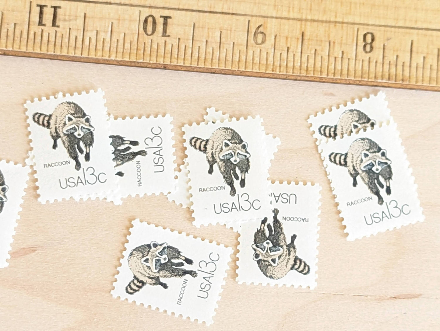 Set of 10 Raccoon Stamps, 13 Cent 1978 Unused Postage Stamps