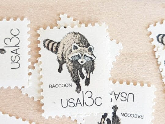 Set of 10 Raccoon Stamps, 13 Cent 1978 Unused Postage Stamps